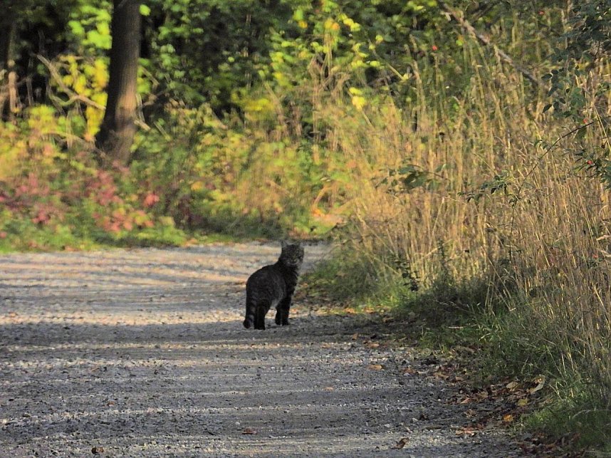 Herbstlicher Spaziergang