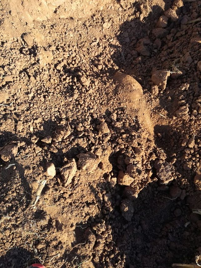 Zwei Blindg&auml;nger wurden entsch&auml;rft