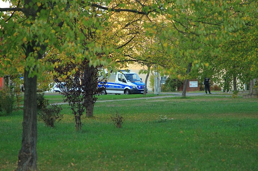 Zwei Blindg&auml;nger wurden entsch&auml;rft