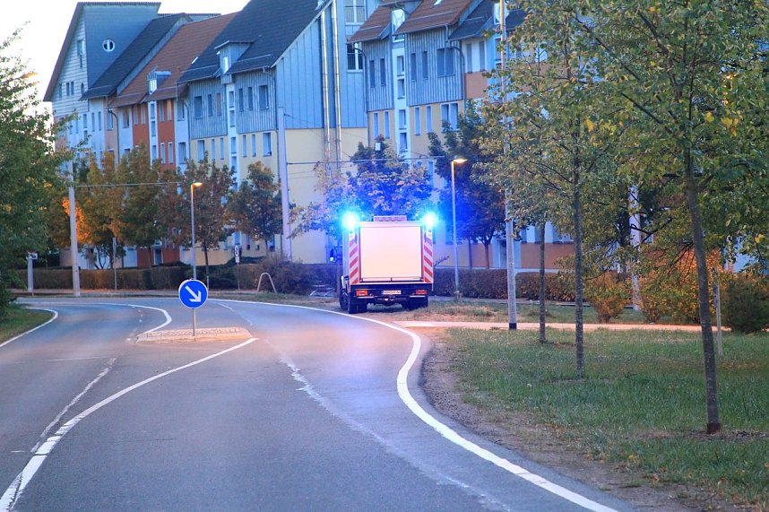 Zwei Blindg&auml;nger wurden entsch&auml;rft