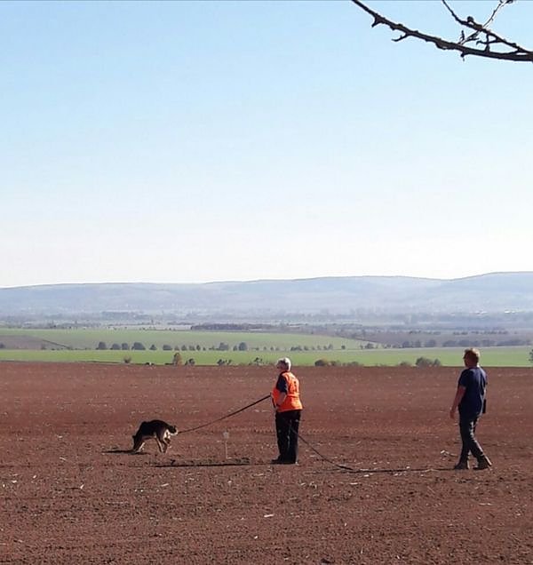 Th&uuml;ringer Landesf&auml;hrtenmeisterschaft ausgerichtet