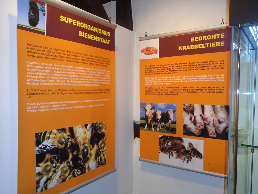 Summende Sechsbeiner im Tabakspeicher