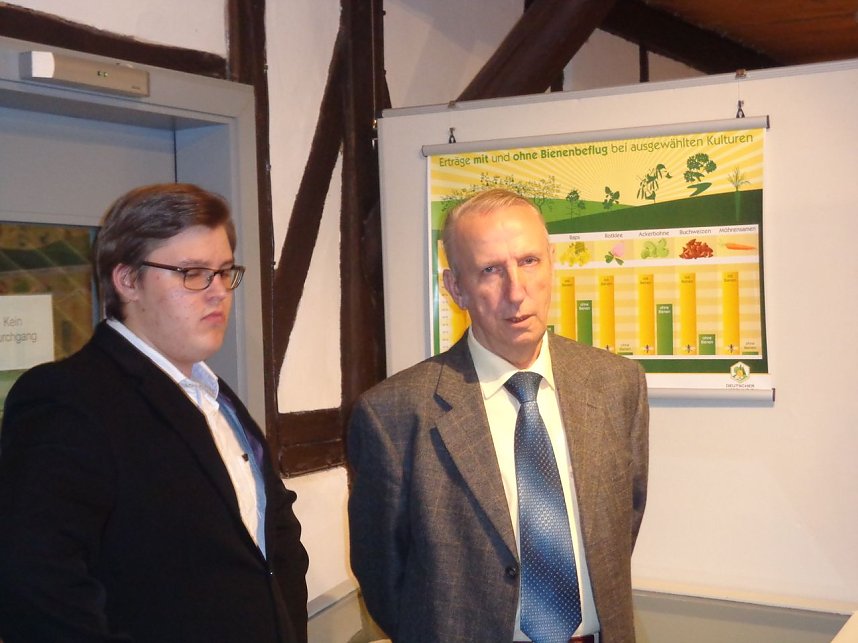 Summende Sechsbeiner im Tabakspeicher