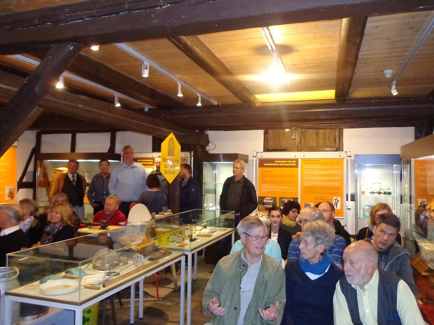 Summende Sechsbeiner im Tabakspeicher