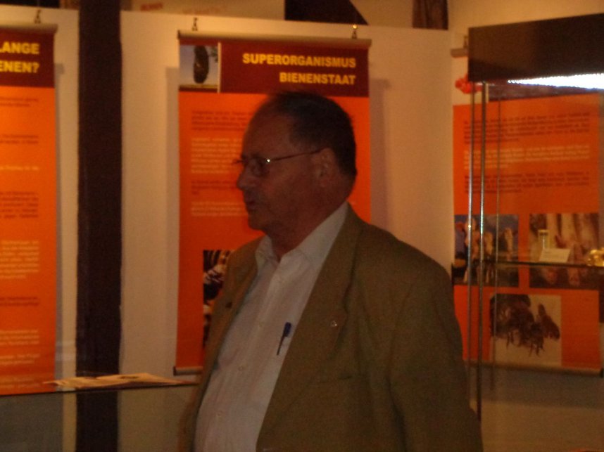 Summende Sechsbeiner im Tabakspeicher