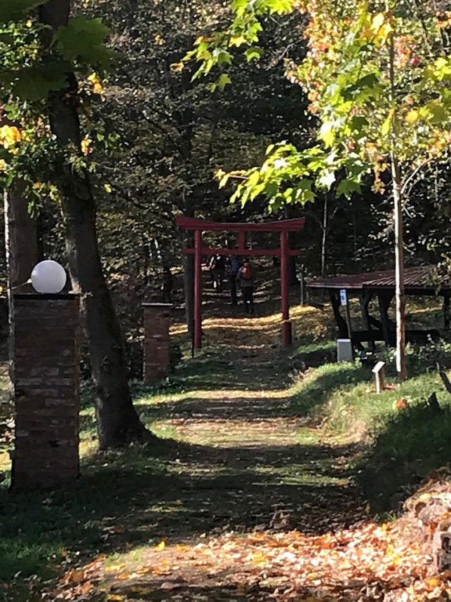 Besuch im Ahornpark Ilfeld