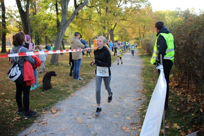 Stadtparklauf in Sondershausen (2)