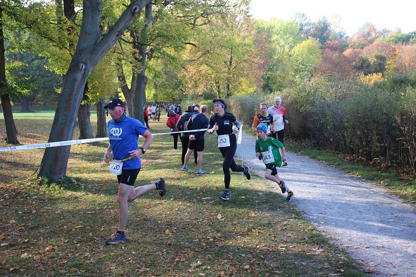 Stadtparklauf in Sondershausen (2)