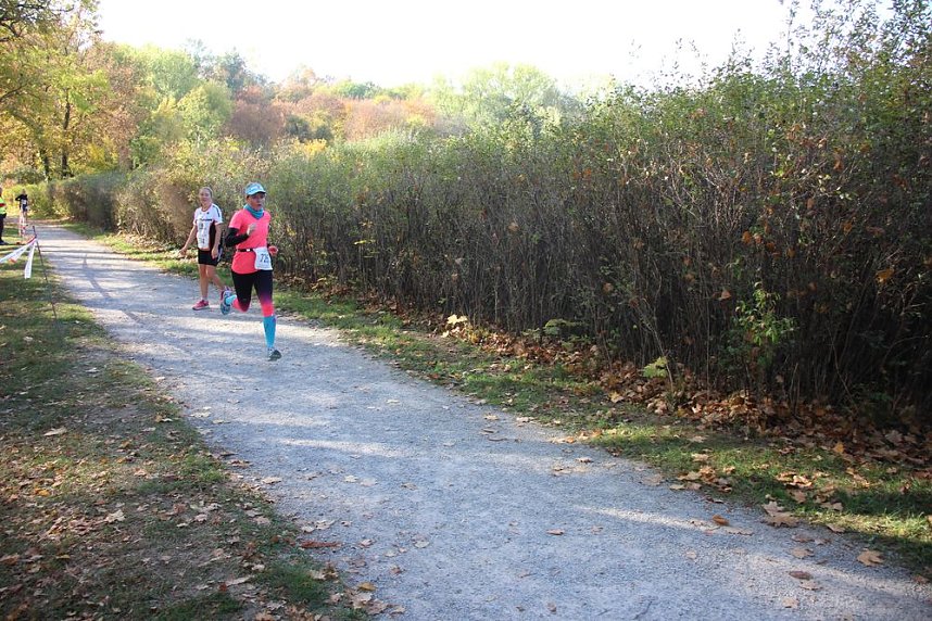 Stadtparklauf in Sondershausen (2)