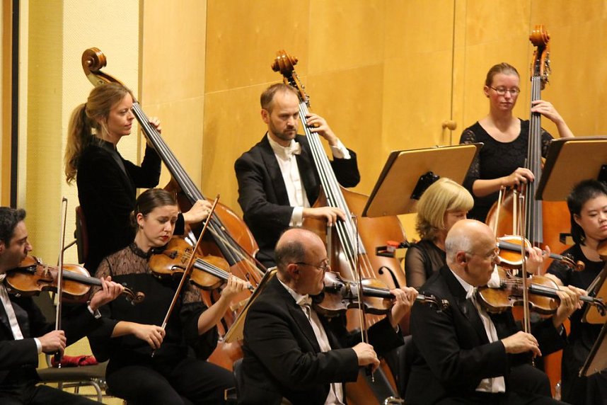 Virtuos am Kontrabass