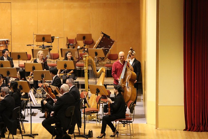 Virtuos am Kontrabass