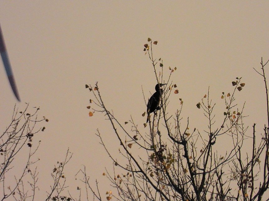 Eine Runde Kiesteich