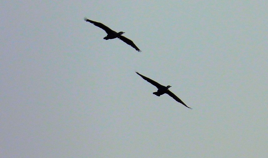 Eine Runde Kiesteich