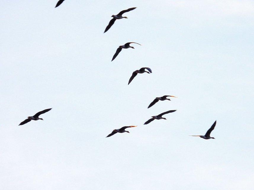 Eine Runde Kiesteich