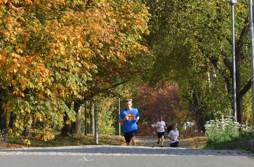 Studierende und Professoren liefen beim ersten Campuslauf gemeinsam gegen die Zeit