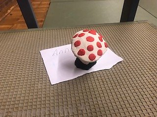 Judo Safari der TSG Salza