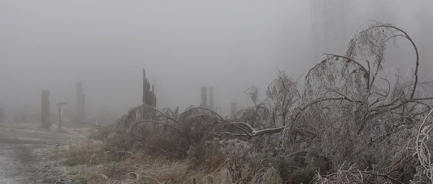 Erster Schnee auf dem Brocken