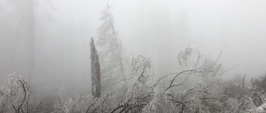 Erster Schnee auf dem Brocken