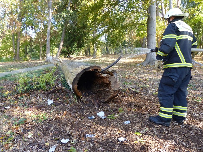 Hohler Baumstamm wurde in Brand gesetzt