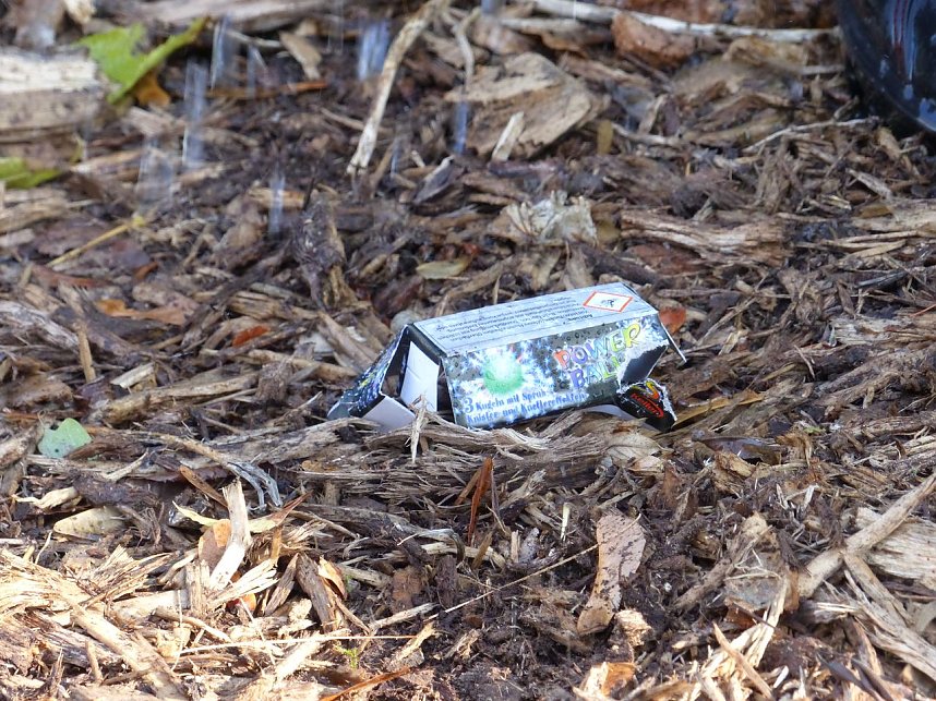 Hohler Baumstamm wurde in Brand gesetzt