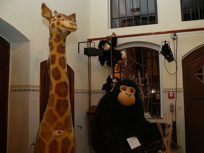 B&auml;ren und andere Freunde