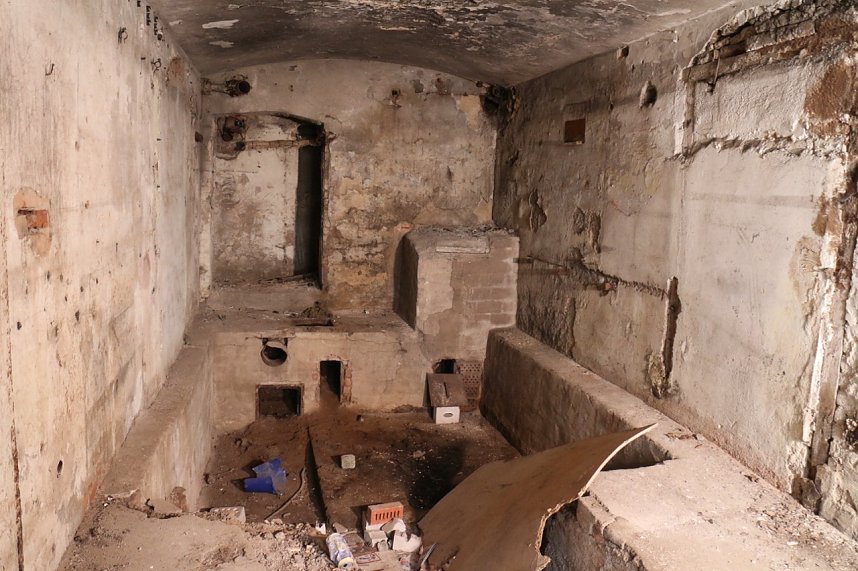 Besuch auf dem Lindenhof