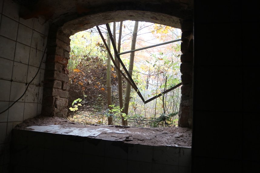 Besuch auf dem Lindenhof