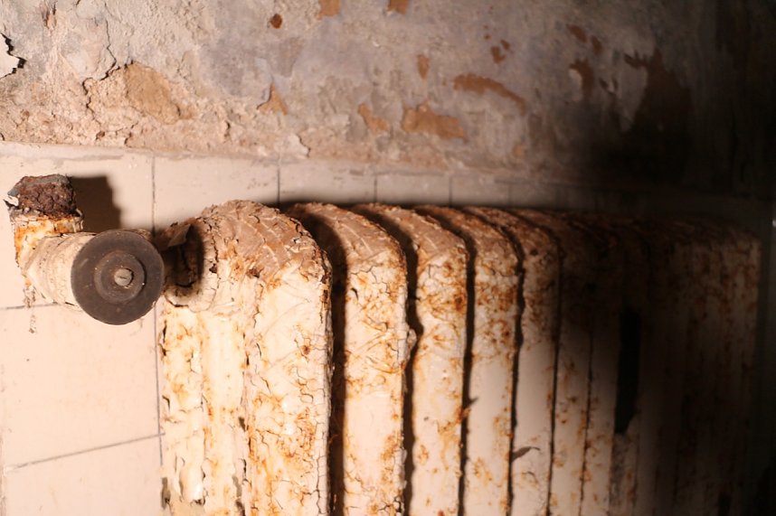 Besuch auf dem Lindenhof