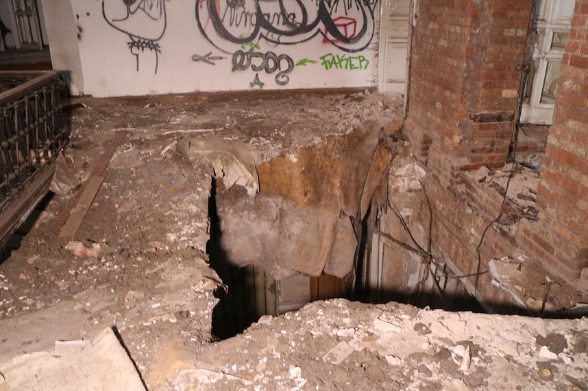 Besuch auf dem Lindenhof