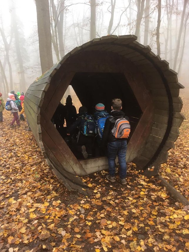 Ausflug zum Baumkronenpfad