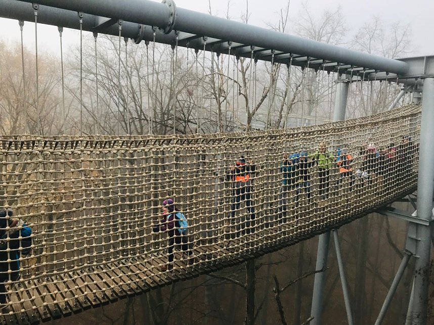 Ausflug zum Baumkronenpfad