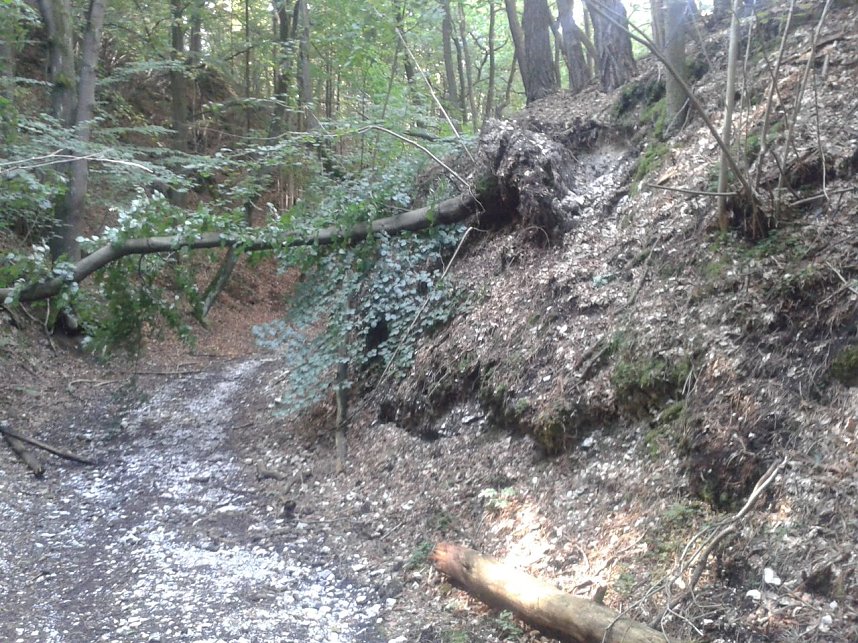 Gesch&uuml;tzter Gipsfelsen besch&auml;digt