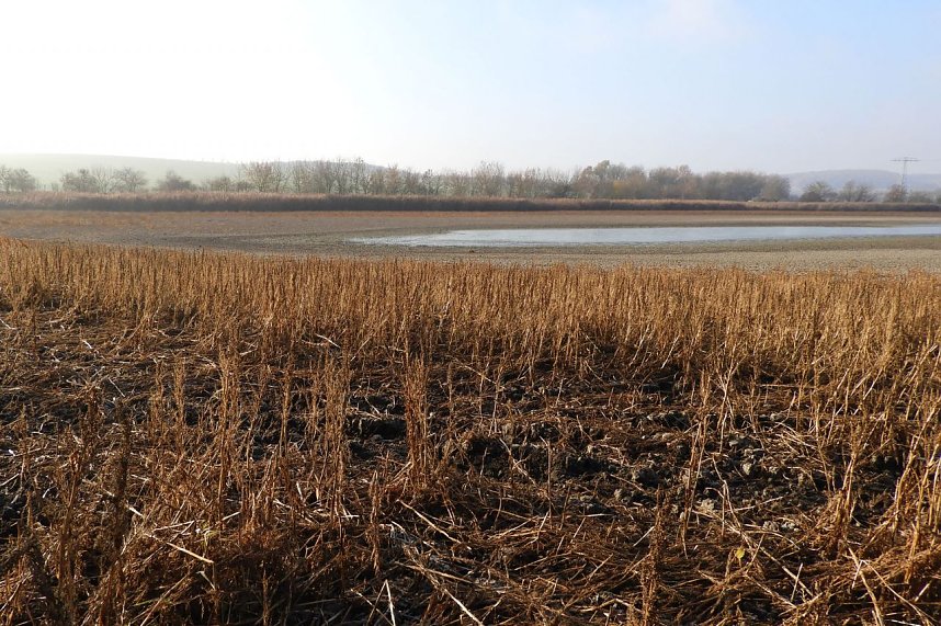 Arbeitseinsatz an den Steinbr&uuml;cker Teichen
