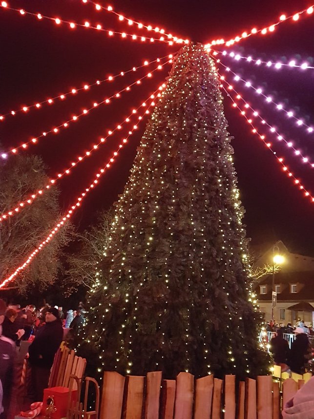 Das Jahr 2018 l&auml;sst das Tanzstudio Radeva wieder traditionell mit dem Ballettm&auml;rchen ausklingen und verspricht allen Zuschauern eine wundersch&ouml;ne Auff&uuml;hrung.