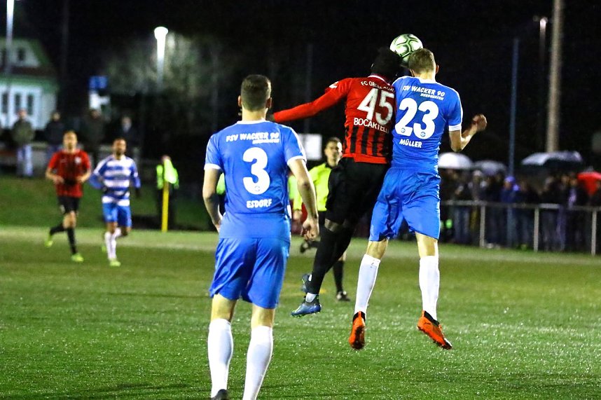 Halbes Dutzend gegen Neugersdorf
