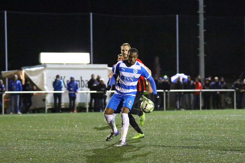 Halbes Dutzend gegen Neugersdorf