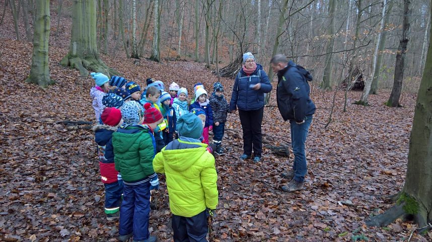 Spatzenkinder erkunden den Wald