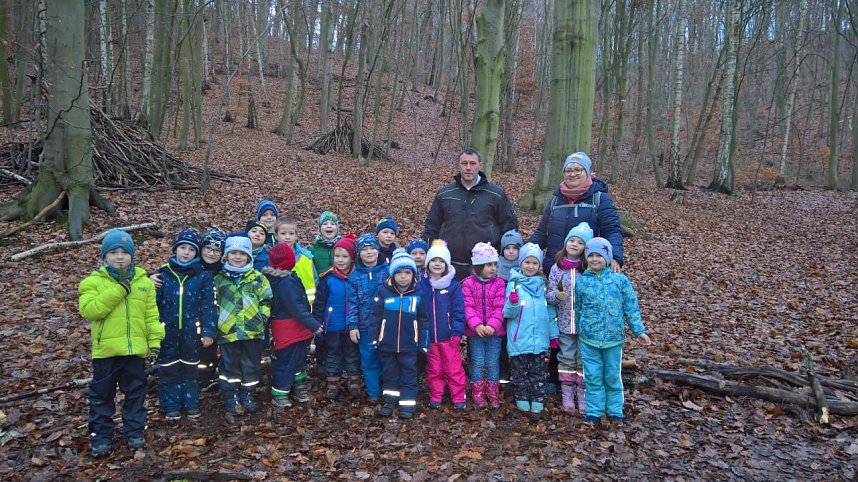 Spatzenkinder erkunden den Wald