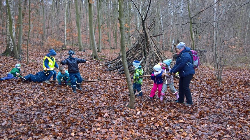 Spatzenkinder erkunden den Wald