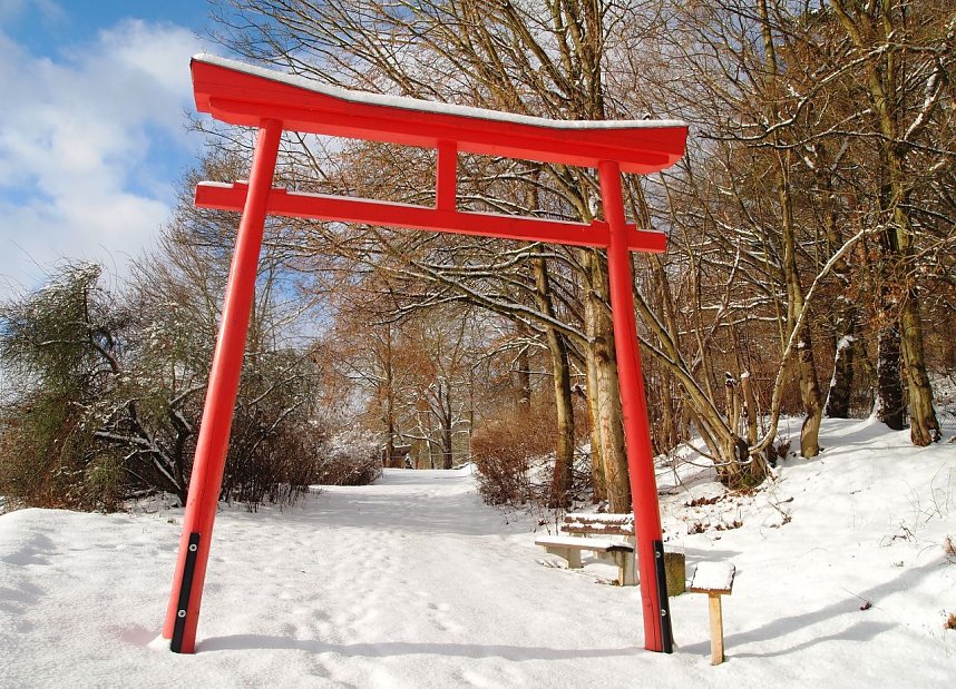 Gr&uuml;&szlig;e aus dem Ahornpark Ilfeld