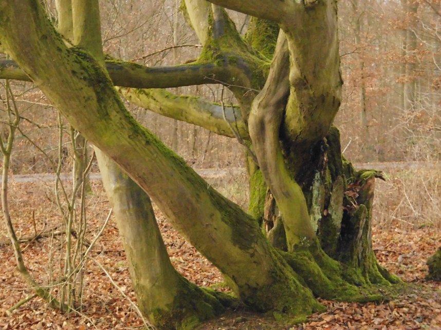 Natur pur, in jeder Hinsicht