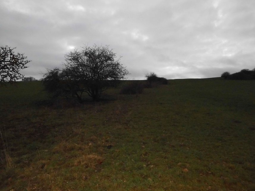 Natur pur, in jeder Hinsicht