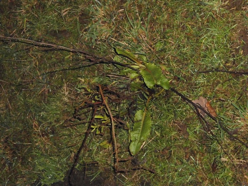 Natur pur, in jeder Hinsicht