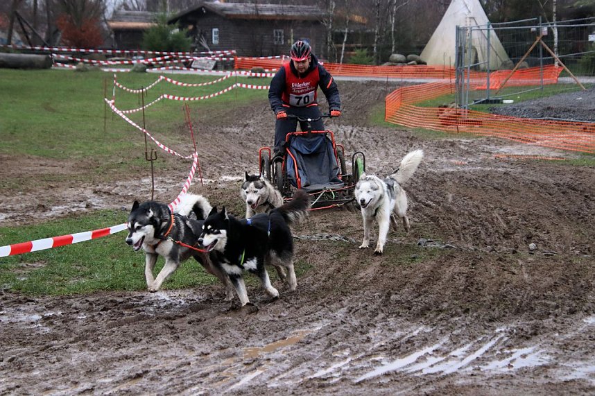 Hundeschlittenrennen in Pullman City