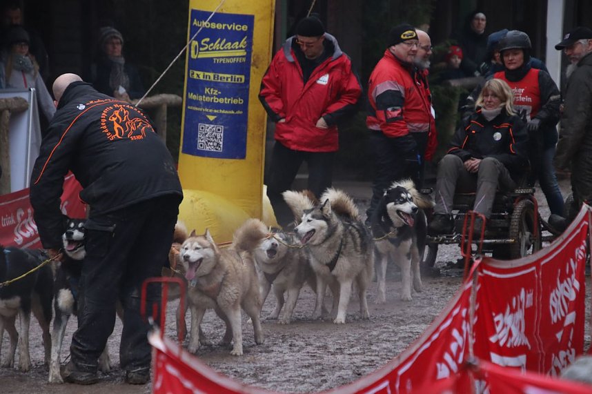 Hundeschlittenrennen in Pullman City