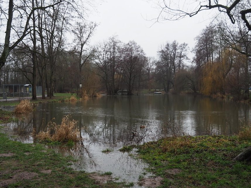 Die ersten Fr&uuml;hlingsboten?