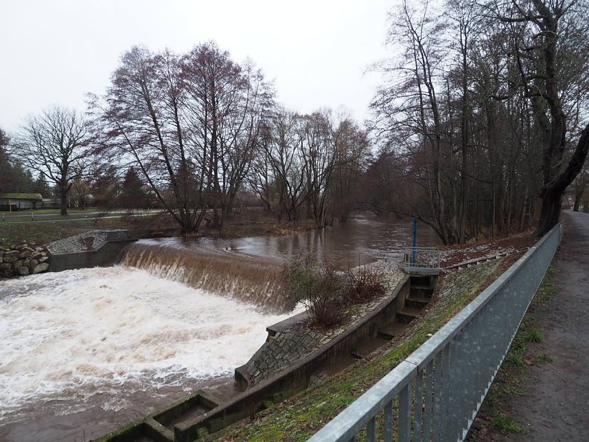 Die ersten Fr&uuml;hlingsboten?