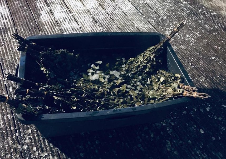 PolarNacht war voller Erfolg