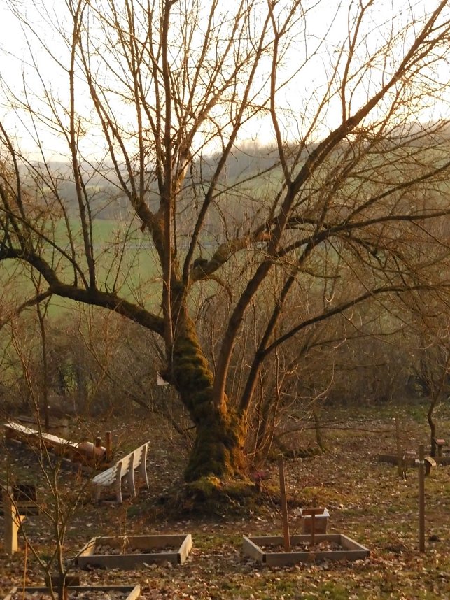 Die Natur vor unserer T&uuml;r