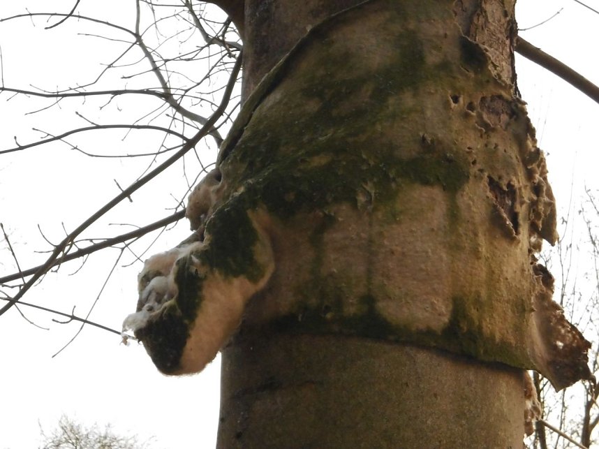 Die Natur vor unserer T&uuml;r